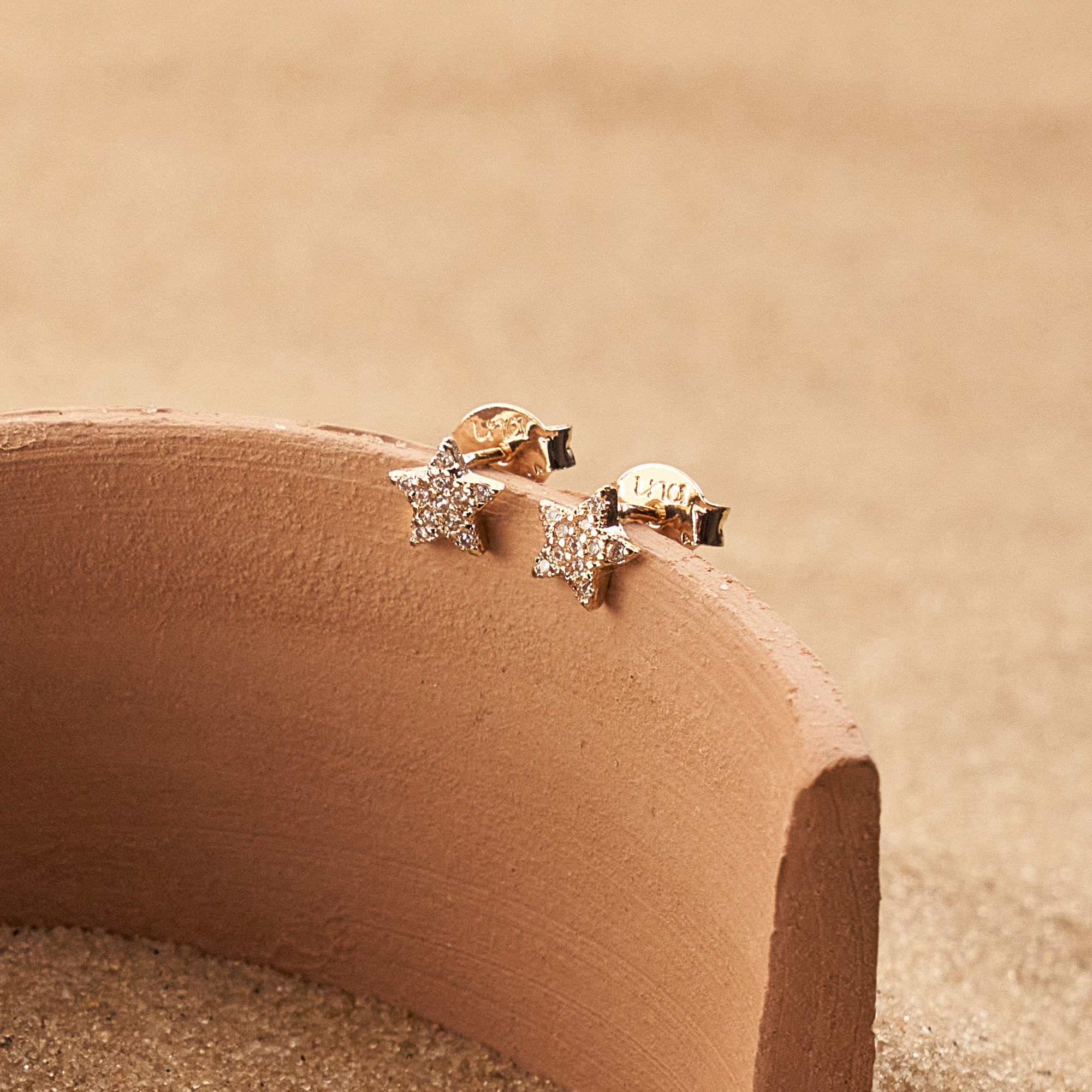 Brinco Adelaide Banho Ouro 18k