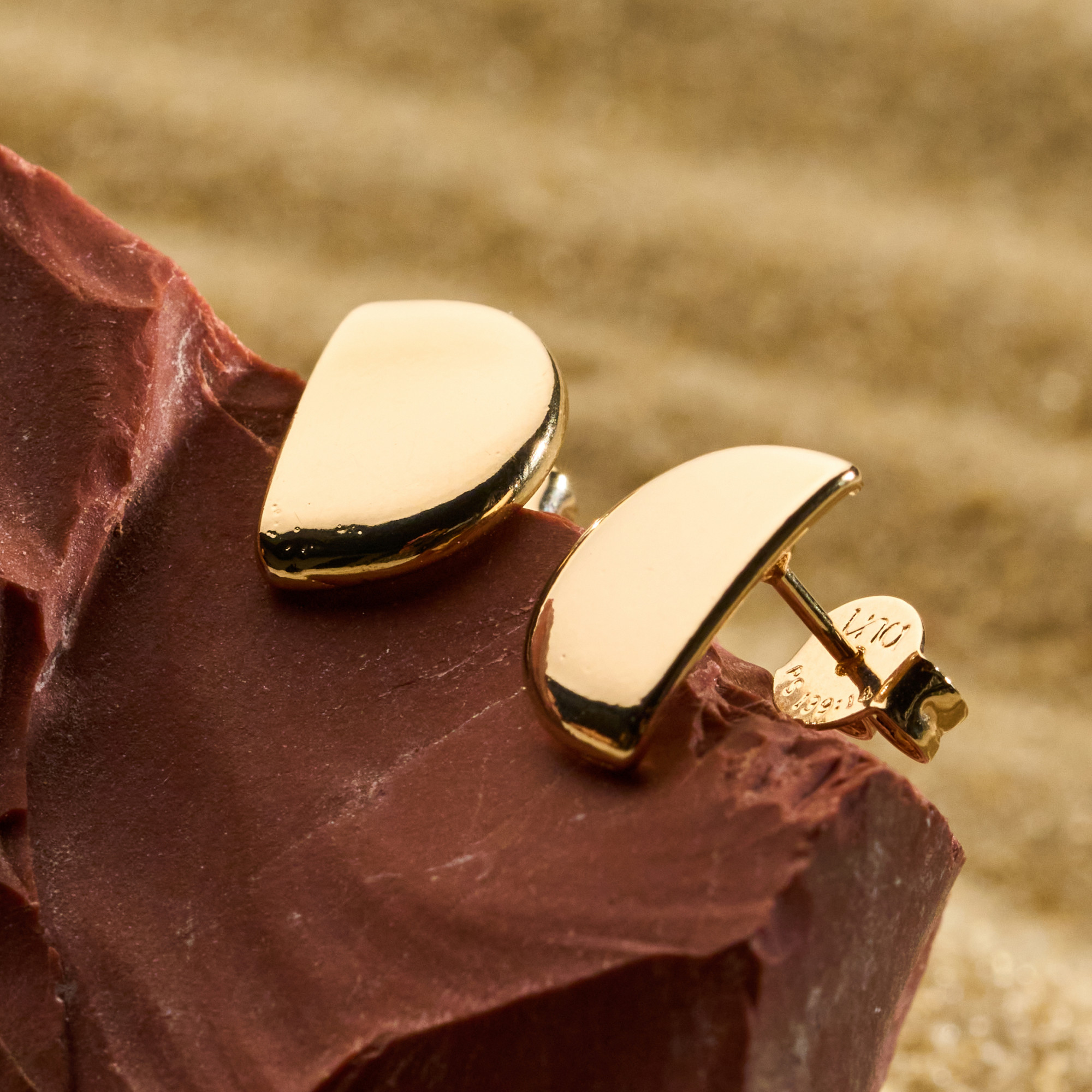 Brinco Ionara Banho Ouro 18k