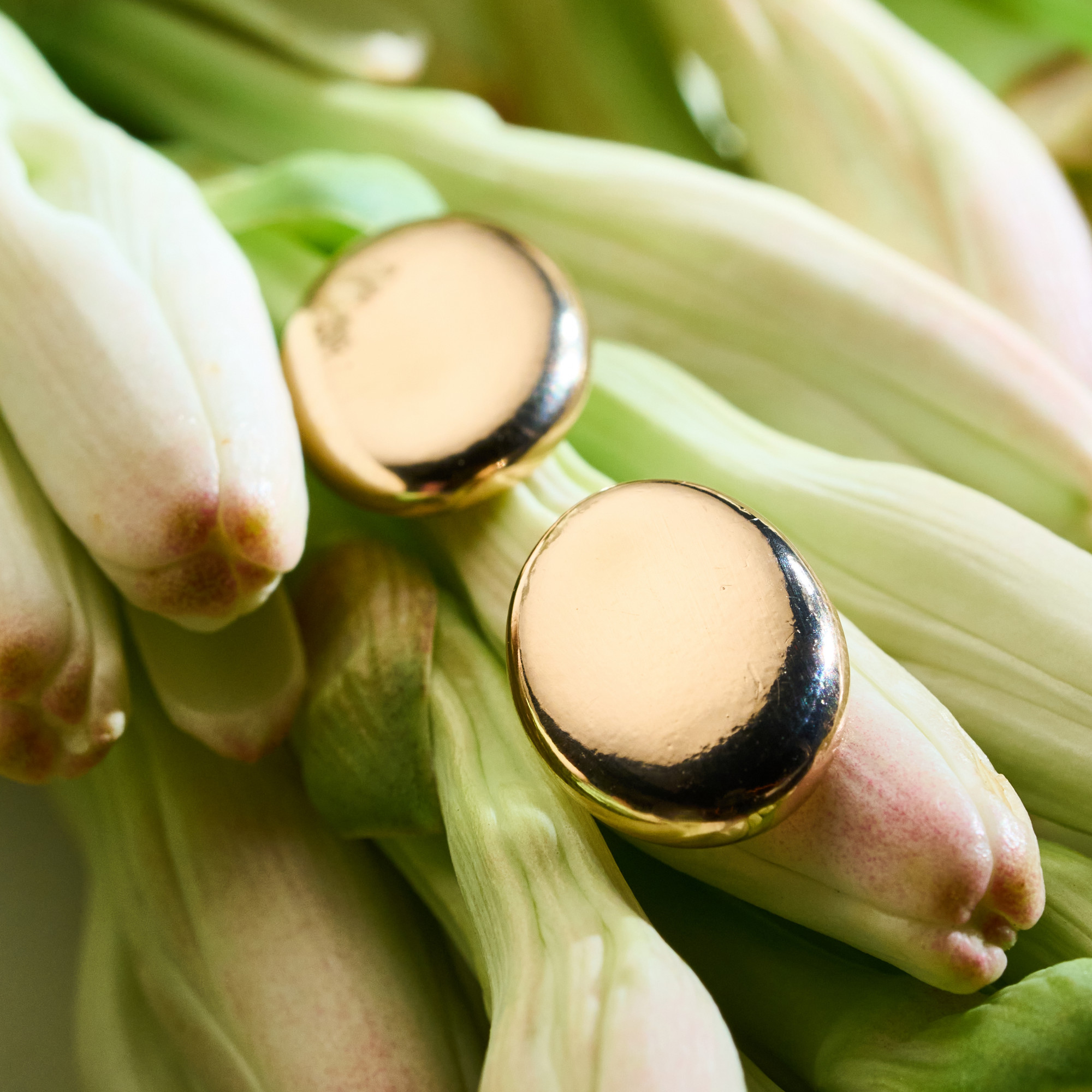 Brinco Drielly Banho Ouro 18k