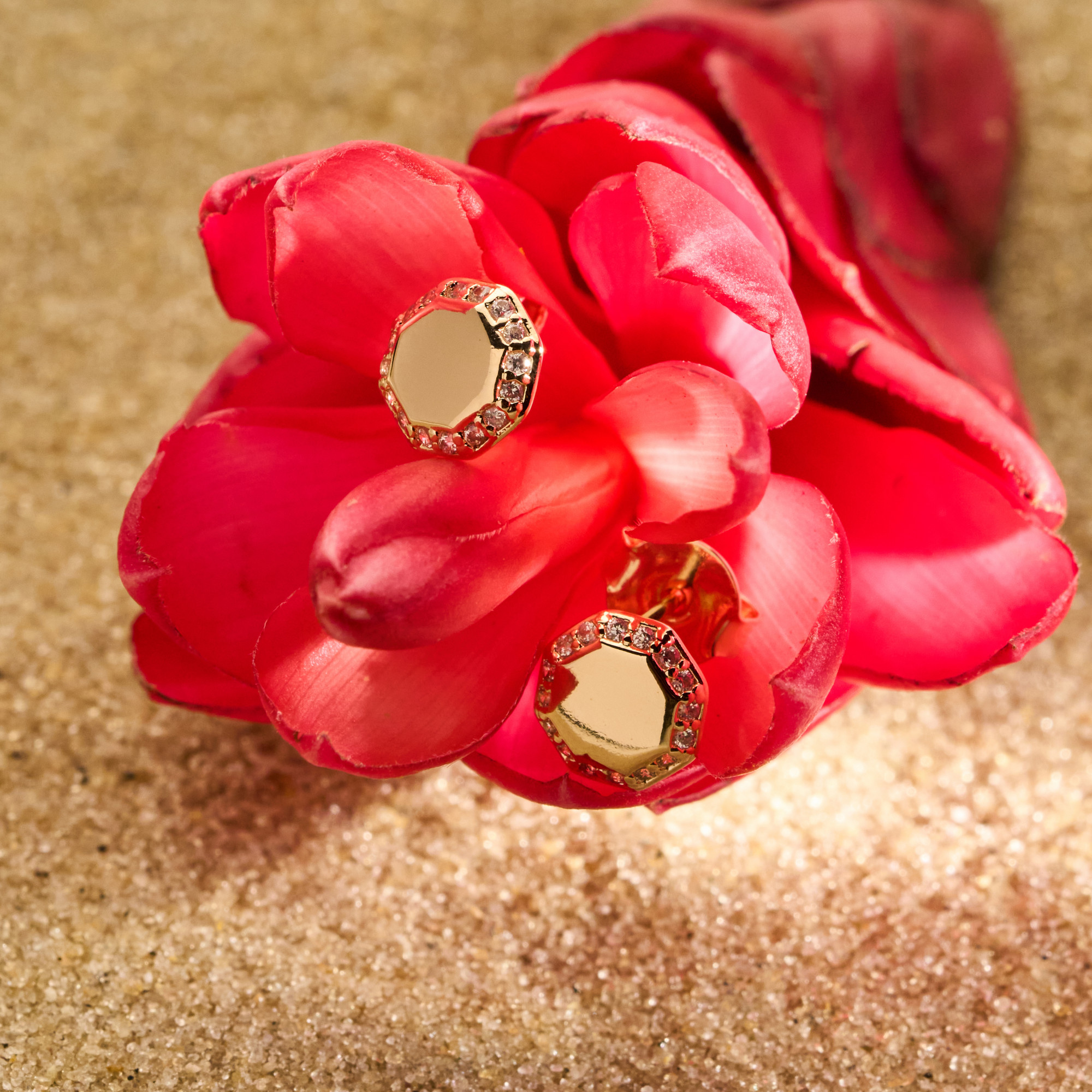 Brinco Laylin Banho Ouro 18k