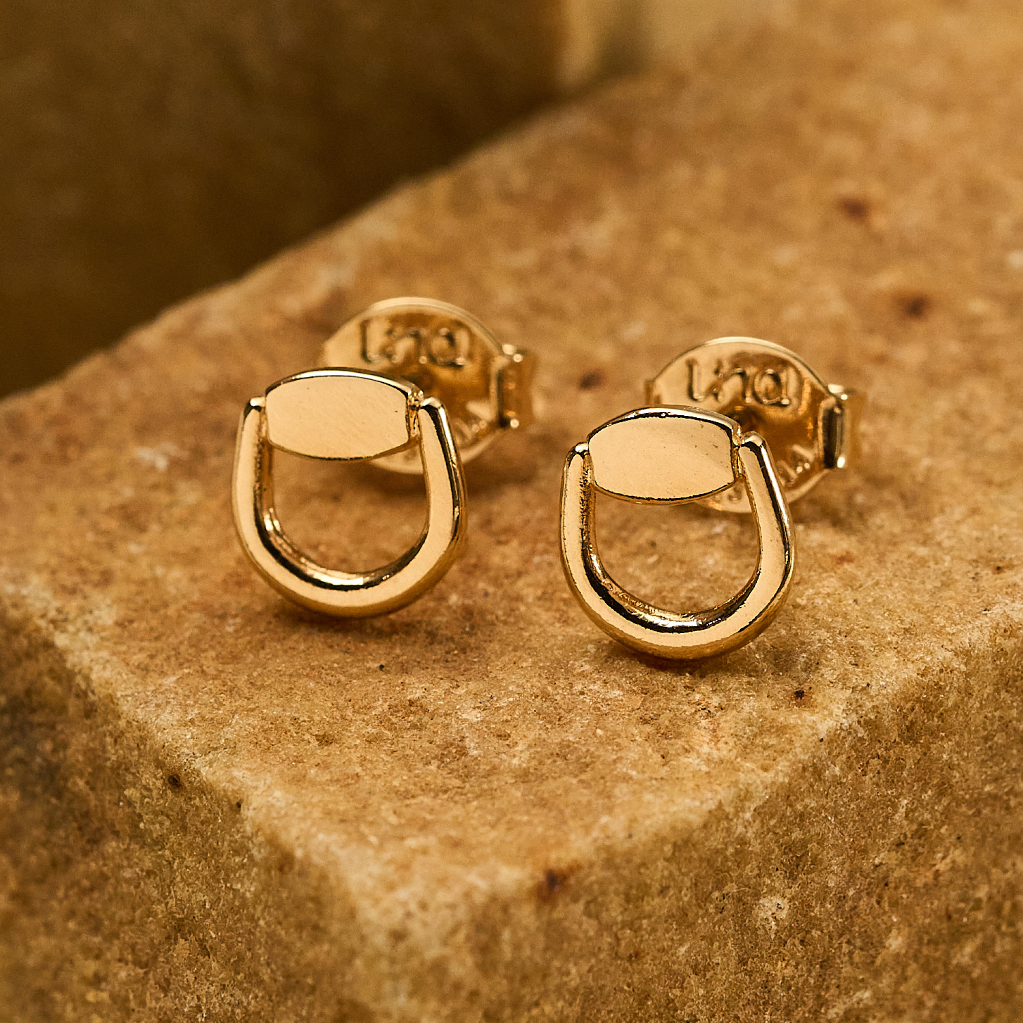 Brinco Leile Banho Ouro 18k