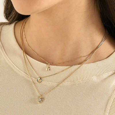 Colar Pina Banho Ouro 18k