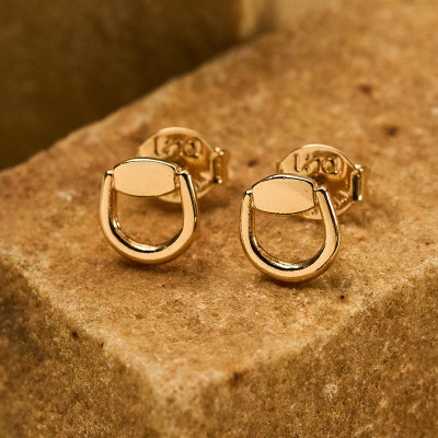 Brinco Leile Banho Ouro 18k