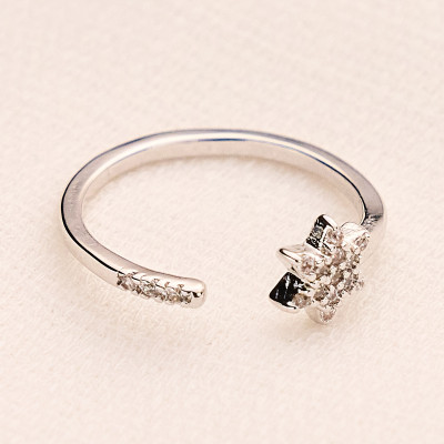 Anel Isabel Banho Ródio Branco