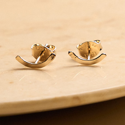 Brinco Rae Banho Ouro 18k